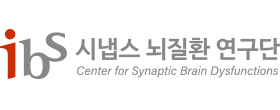 ibs 시냅스 뇌질환 연구단