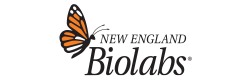 뉴잉글랜드바이오랩스코리아