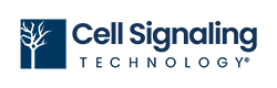 Cell Signaling Technology